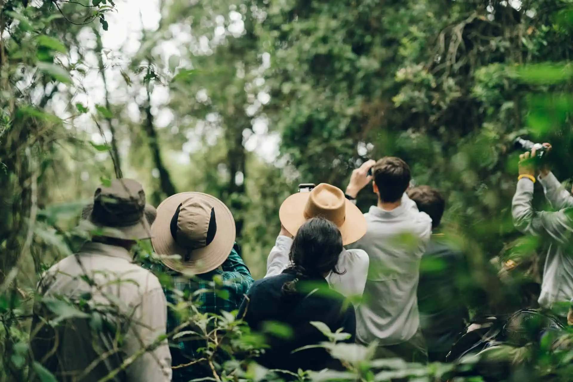 You are currently viewing Complete Guide to Experiencing a Mountain Gorilla-Tracking Safari in Uganda