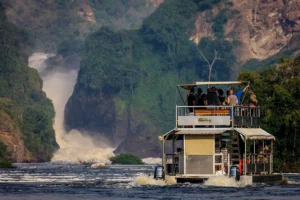 Read more about the article How to Plan a Safari in Murchison Falls National Park in Uganda