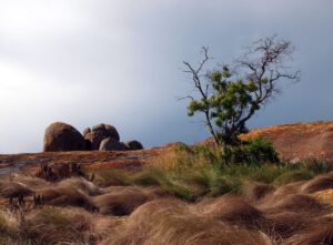 Read more about the article A Guide to Visiting Matobo Hills in Zimbabwe