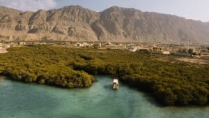 Read more about the article Ras Al Khaimah Experiences: Nature, Culture & Thrills Await You!