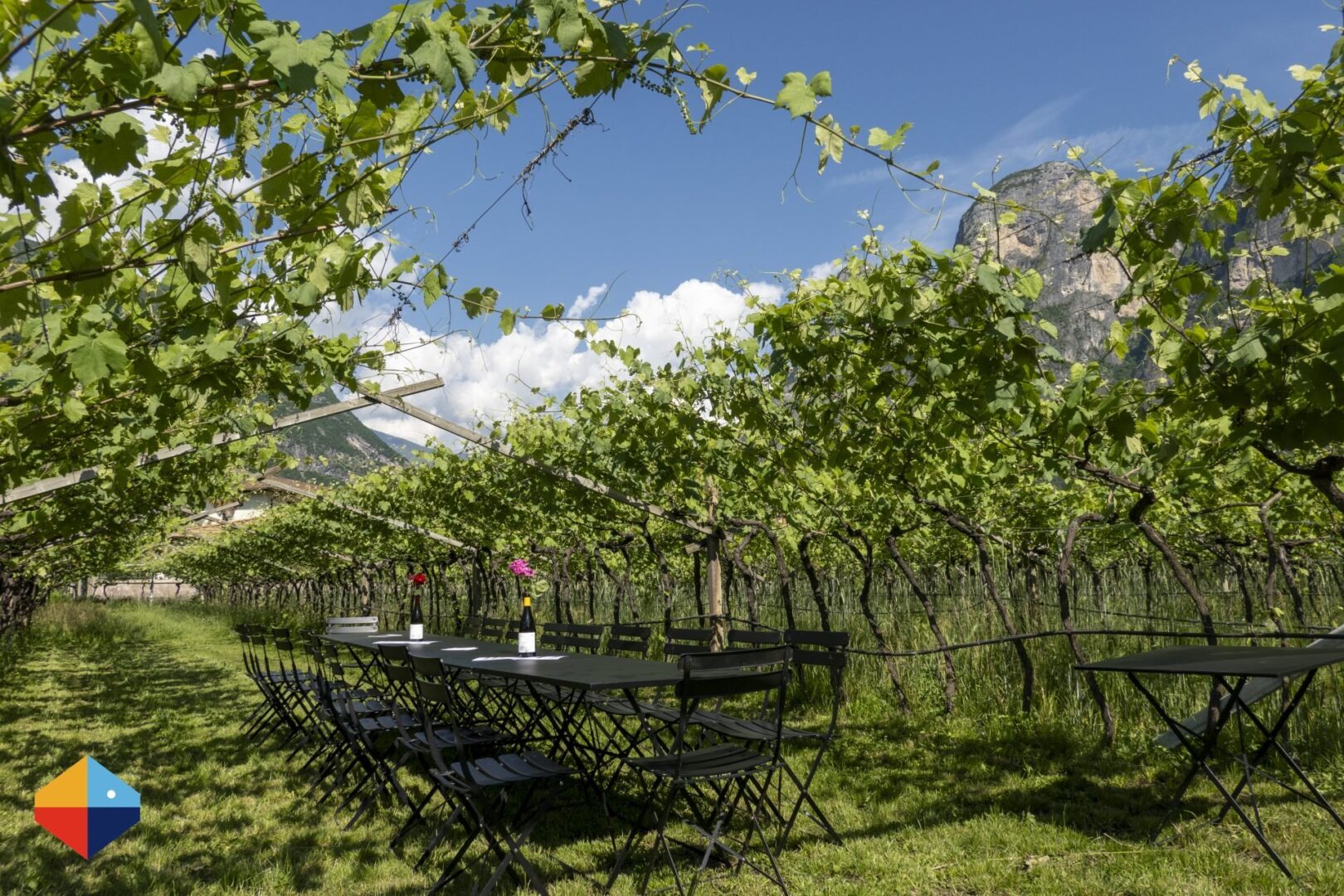 You are currently viewing Lago di Ledro & Lago di Molveno: Your Perfect Dolce Vita Alpine Escape