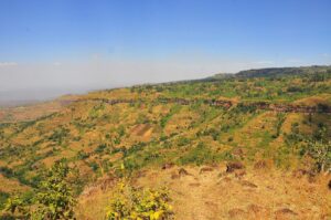 Read more about the article Guide to Hiking in Uganda’s Mountains