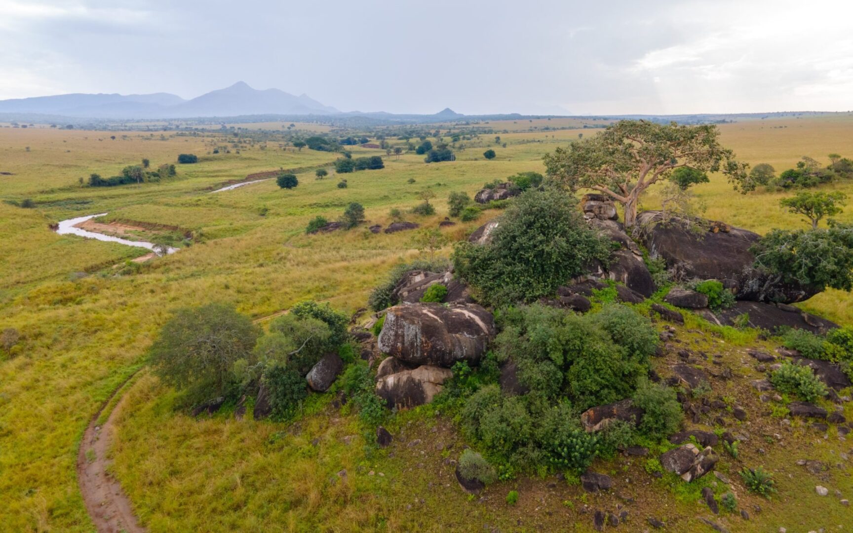 You are currently viewing Attractions in Kidepo Valley National Park