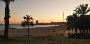 Read more about the article Barcelona Drought: How Tourists Can Help Conserve Water