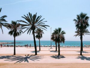 Read more about the article 12 Best Free Outdoor Activities in Barcelona