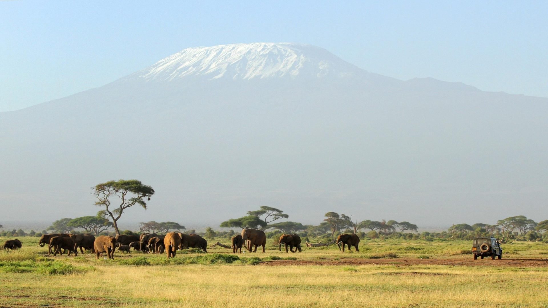 You are currently viewing 10 Reasons a Tanzanian Safari Should be on Your Bucket List