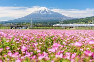 Read more about the article Tips for Traveling in Japan With Kids