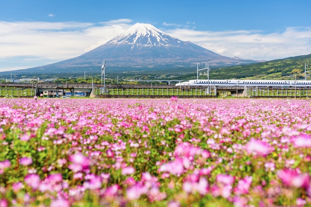 You are currently viewing Tips for Traveling in Japan With Kids