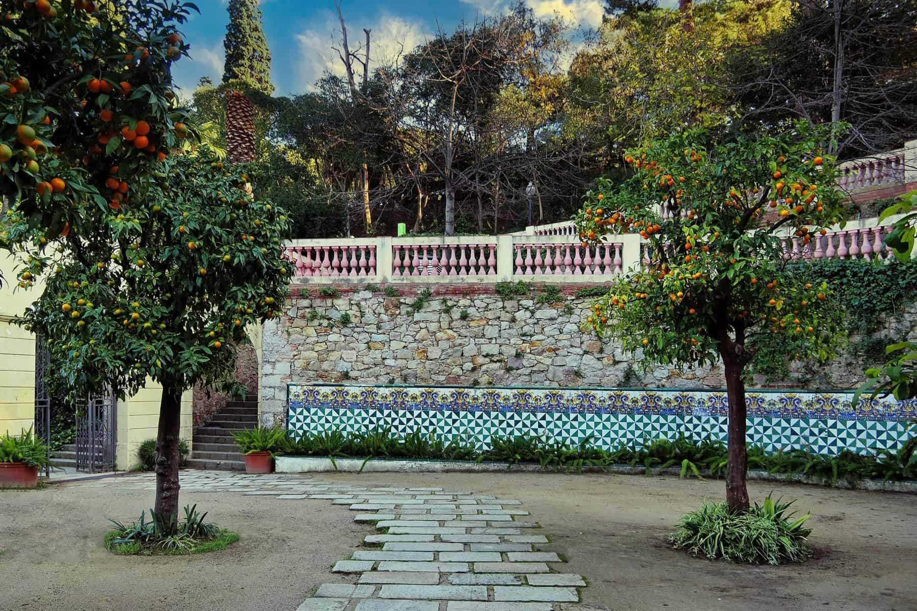 You are currently viewing The Hidden Gardens in Barcelona You Must Visit