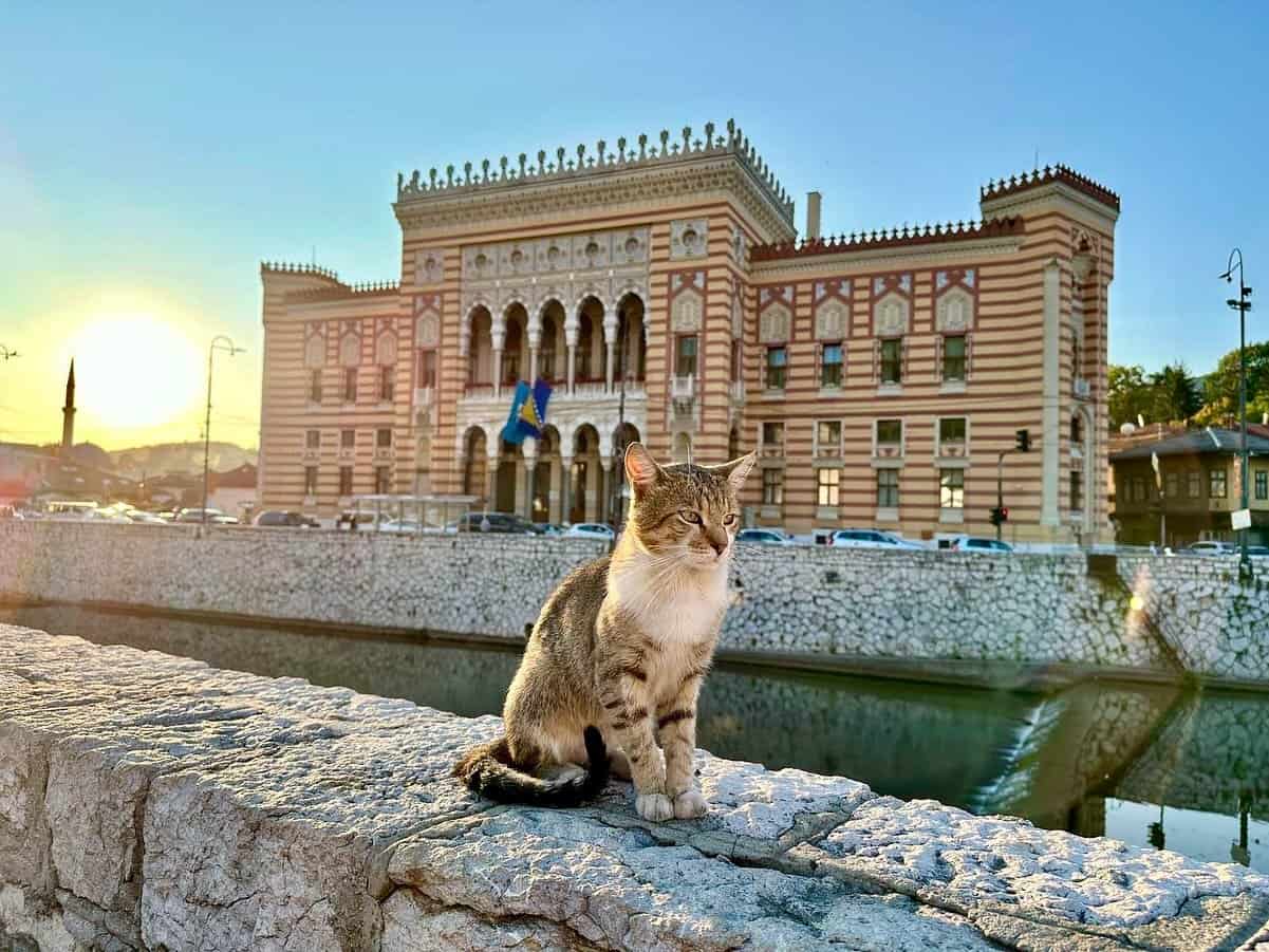 You are currently viewing 3-Day Sarajevo Itinerary: Culture, History, Nature