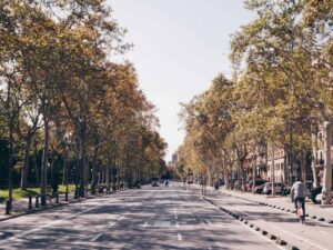 Read more about the article Autumn Dishes in Barcelona: 7 Must-Try Local Favorites