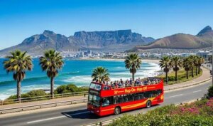 Read more about the article Best Time for a Cape Town Bus Tour: Seasonal Weather & Travel Tips