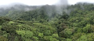 Read more about the article Top Costa Rica Travel Mistakes for First-Time Visitors (& How to Avoid Them)