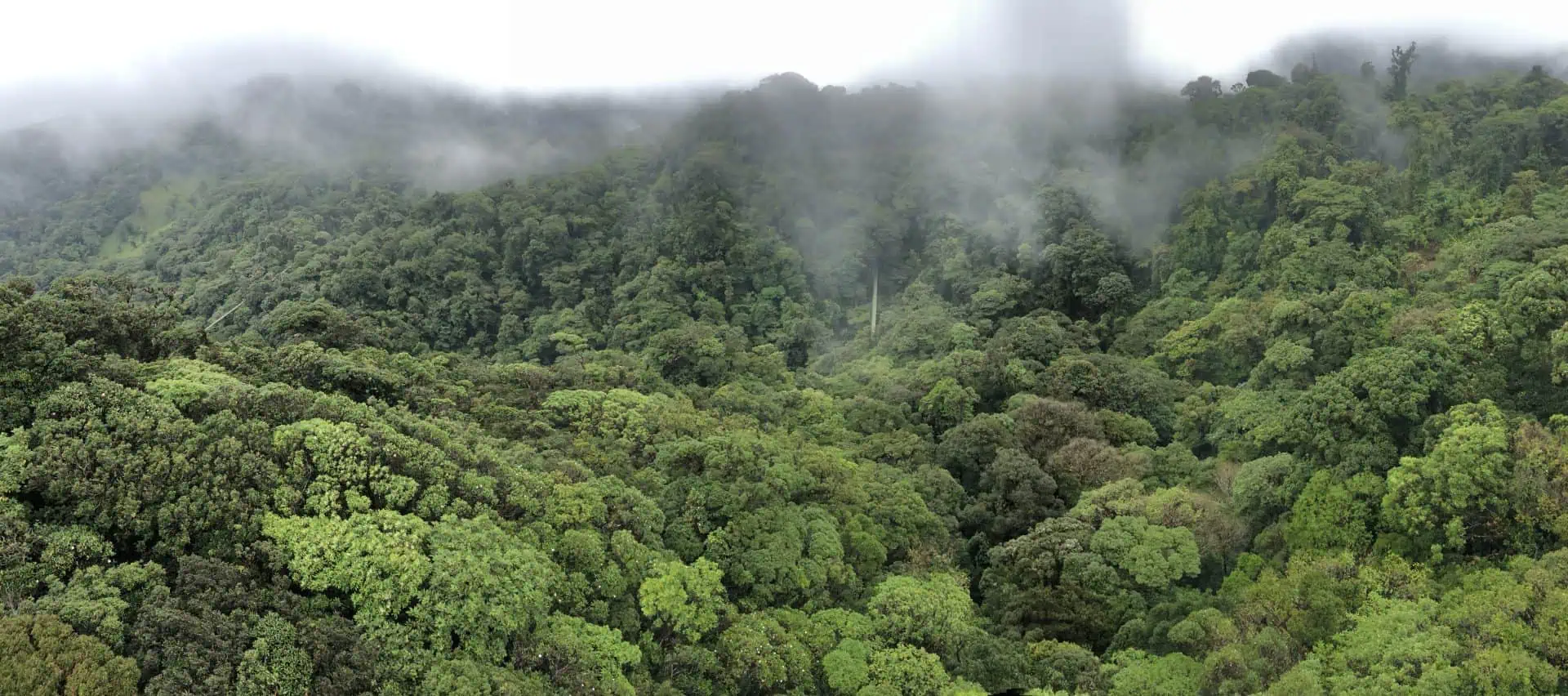 You are currently viewing Top Costa Rica Travel Mistakes for First-Time Visitors (& How to Avoid Them)