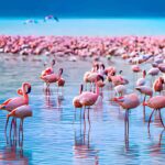 How to Plan the Perfect Day Trip to Lake Nakuru