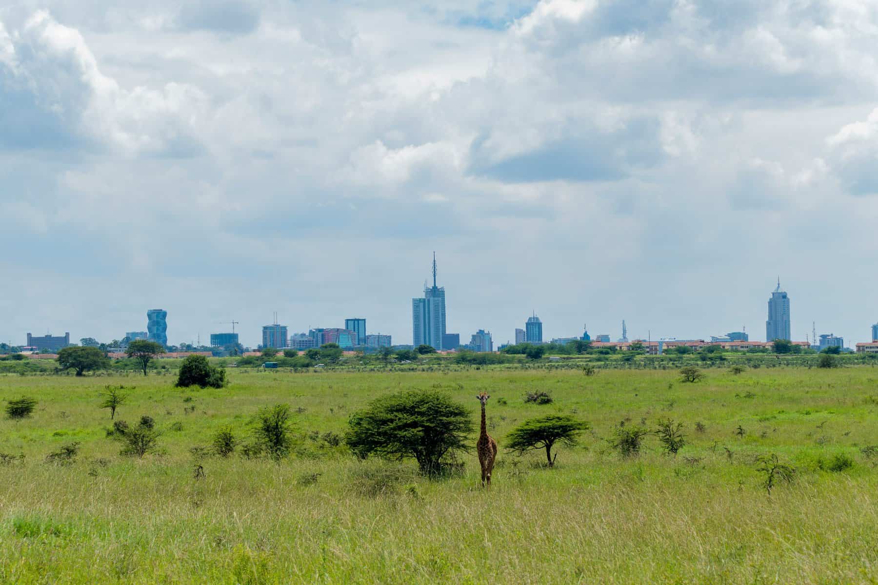 You are currently viewing What to Do for a Day Trip in Nairobi: The Ultimate 24-Hour Itinerary