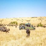 5 Kenyan Safaris You Should Try