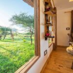 Serval Wildlife: The most exceptional safari park adventure – get closer than you ever imagined