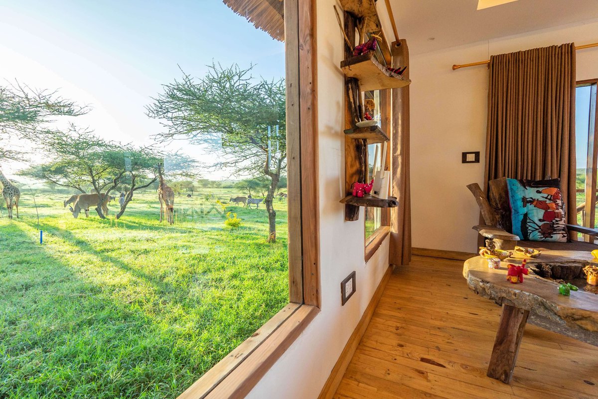 You are currently viewing Serval Wildlife: The most exceptional safari park adventure – get closer than you ever imagined