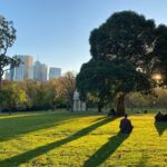 Melbourne With Kids: A Family-Friendly Guide to Exploring the City