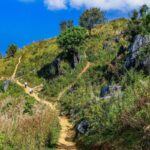 5 Half-Day Hikes With Big Views (Perfect for Burnout Week)