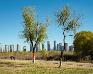 Read more about the article Micro-Adventures for Better Focus: Easy Ways to Fight Off a Heavy Semester